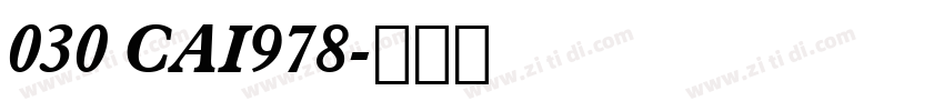 030 CAI978字体转换
